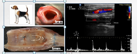 一种用于治疗心肌缺血再灌注损伤的可注射双功能水凝胶